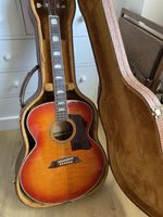 Alliance Acoustic Guitar And Mock Crocodile Hardcase