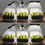 144 Cell Self Watering Seed Starter Trays with 2 Grow Lights
