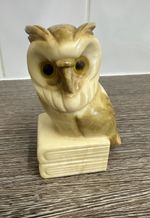 Owl On Books Ornament