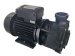 LX WP300-II 3HP 2-Speed Pump for Hot Tub
