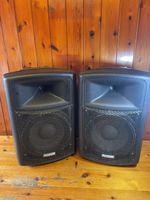 Pair of Sound Lab G591C 200W RMS each Passive Professional Disco DJ Speakers