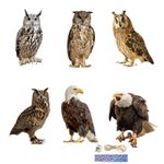 Owl Decoy Protect Garden Yard Scare Birds Mouse Away Pigeon Repellent Scarecrow