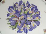 Royal Albert Limited Edition Collectors Plate IRISES