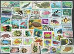Fish on stamps Nature 200 all different collection   22.11.2025