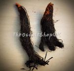 BLACK MAGIC NATURAL PARANORMAL PROTECTION TALISMAN WITCH SPELLS RITUAL PAGAN HEX