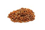 10Kg Premium Koi & Pond Food Mixed Floating Sticks - Health - Growth - Colour