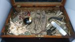 One Of A Kind Voodoo Box. Ultimate Display Piece. Witch Doctor. Black Magic. 