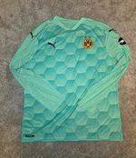 PUMA Borussia Dortmund BVB 09 Goalkeeper Shirt Green Long Sleeve Unisex 3XL