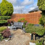 Contemporary Slatted Homegrown Larch Fence Panel Vertical | Various Sizes 