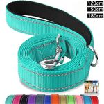 Reflective Nylon Neoprene Dog Lead 120/150/180CM Leash Padded Handle 12 Colours