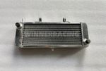 Fit APRILIA RS 50 2006 - 2010; DERBI GPR 50 2004-2009 aluminum radiator