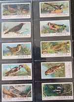Ogdens Cigarette Cards British Birds Complete Set issued 1905