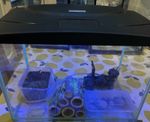 Kids Glow 30L Aquarium