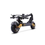 2025 TWOFISH V2 MAX 10in Foldable Off Road Electric Scooter 48V 17Ah 50-60 Range
