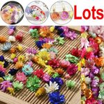 Real Dried Flowers Mixed Eternal Flowers Buds DIY Candles Soap Epoxy Wholesale
