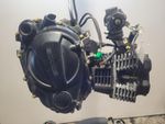 Sinnis Terrain  Engine 2020 11.00 BHP 9662 miles
