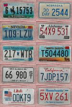 JOB LOT SET OF 10 ROUGH CONDITION AMERICAN LICENSE NUMBER PLATES lot 644S3