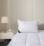 Extra Fill Duck Feather & Down Pillow, 230TC Cotton, Side Sleeper 48cm x 74cm