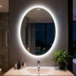 LUVODI Oval LED Mirror Smart Mirror for Bathroom, Backlit, Large Demister, IP66