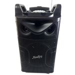 Moukey MTs10-2: 10-inch Karaoke PA Trolley Bluetooth Speaker No Charger Untested