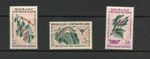 J106  Central Africa  1965   insects moths   3v.     MNH
