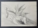 Jose Clemente Orozco (Handmade) Drawing mixed media on paper signed & stamped