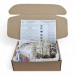 White Sage Smudge House & Crystal Cleaning Kit Beginners Complete Kit & Guidance