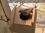 Hanging Plastic Bird House Nesting Box Brown 144x111x153mm. Hole Is 50mm Or 25mm