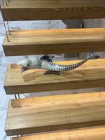 vintage mid-century hand-carved horn fish sculpture