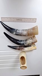 Viking Drinking Horn Job Lot Set of 3 Polished Horns plus 1 Desk Stand