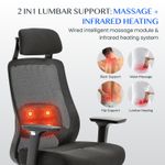 FLEXISPOT Ergonomic Office Chair with Massage Heating High Back Mesh Desk Chair