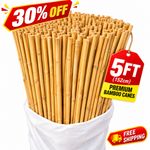 5ft Bamboo Canes Thick Garden Plant Support Sticks Pole Strong 10mm Pack 10-100