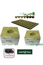 Grodan  Rockwool Rooting Cubes - Tray 77, Delta Blocks 3" & 4"  Seeds & Cuttings