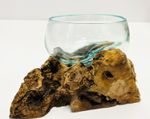 Molten Glass Bowl On Teak Root Stand Glass Rustic Wood Decorative Sculpture