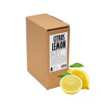 Citrus Lemon Juice, 100% Fruit-Based, 3L, Lemonade, Mocktail, Cocktail Base NFC