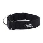 Snootiful Hound Padded Martingale Collar Black - Greyhounds, Whippets, Lurchers