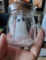 Glass Spell Jar with Rose Quartz Crystals and Ghost