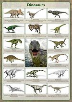 Dinosaur Species Wall Art Chart Poster Laminated available in various sizes