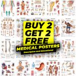 HUMAN ANATOMY EDUCATIONAL STUDENT MEDICAL LIFE POSTER PRINTS | A4 A3