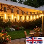 30m 90m Festoon Garden Lights Mains Powered LED ST38 Bulbs Outdoor String Lights