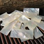 5Pcs White Mother Of Pearl Shell Slices Inlay Material for Music Craft Jewelry