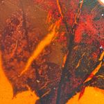 Leaf in Burmese / Burmite amber fossil / 100% genuine 
