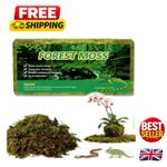 Versatile 5L Natural Sphagnum Moss - Essential for Reptiles & Plant Substrate