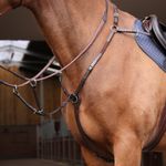 Shires Velociti Rapida Elastic Breastplate - Havana