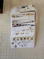 Royal Mail 1st First Day Covers Year 1998 Choose from Dropdown List GB Stamps