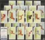 PRIORY (TEA)-FULL SET- DOGS 1957 (24 CARDS) EXCELLENT+++