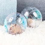 Small Pet Hamster Exercise Ball Plastic Jogging Play Toy for Gerbil Mouse