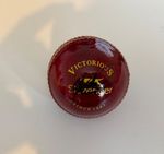 Shane Warne Signed Cricket Ball with COA - Australia