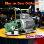 Electric Gear Oil Pump Fuel Oil Transfer Industrial High Viscosity 50L/min 550W
