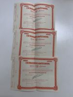 F.W. Woolworth & Co. Ltd 6% Cumulative Pref Stock Certificates (3 Consecutive)
